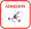 Logo_adhesion