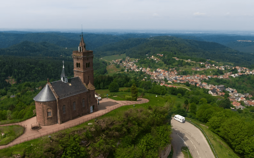 Sortie aux courses du Dabo du 1er juin